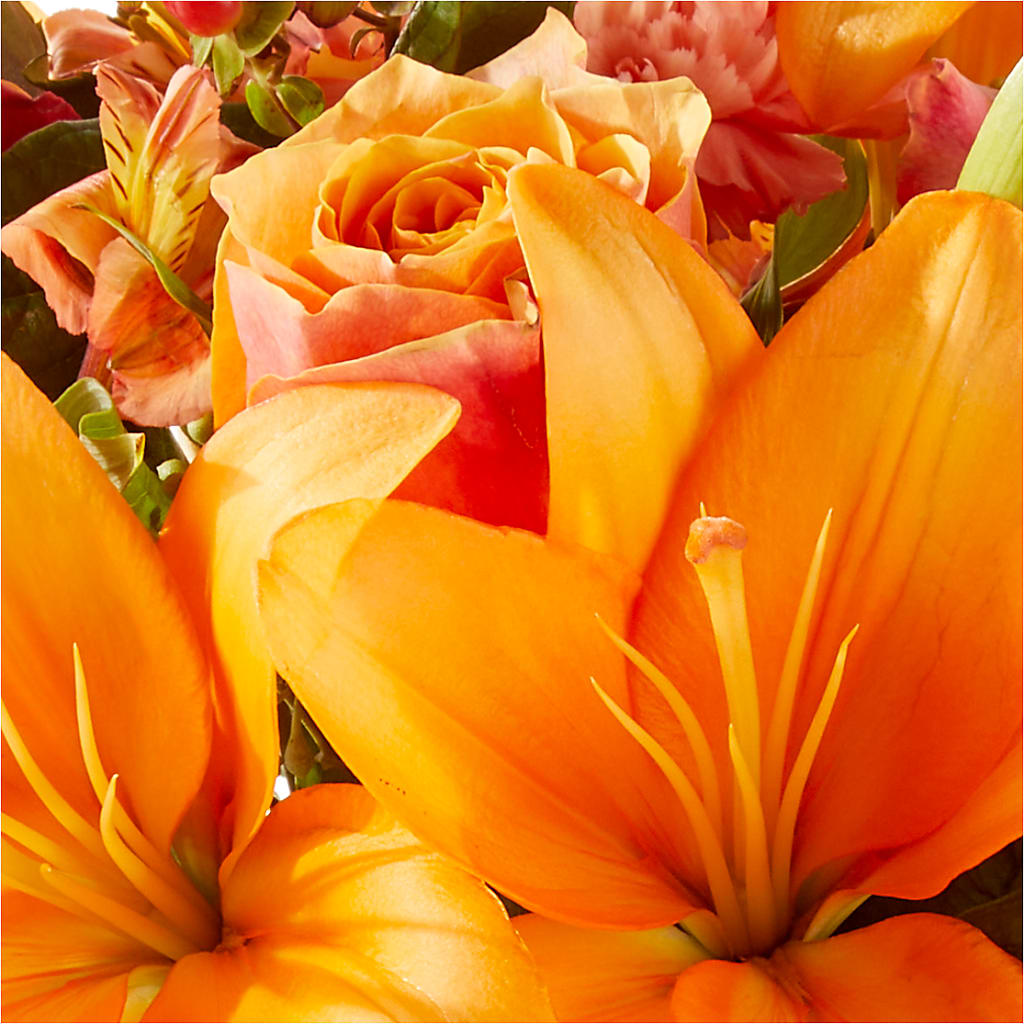 Afternoon Light Bouquet –  Mountain Florist, Clintwood VA