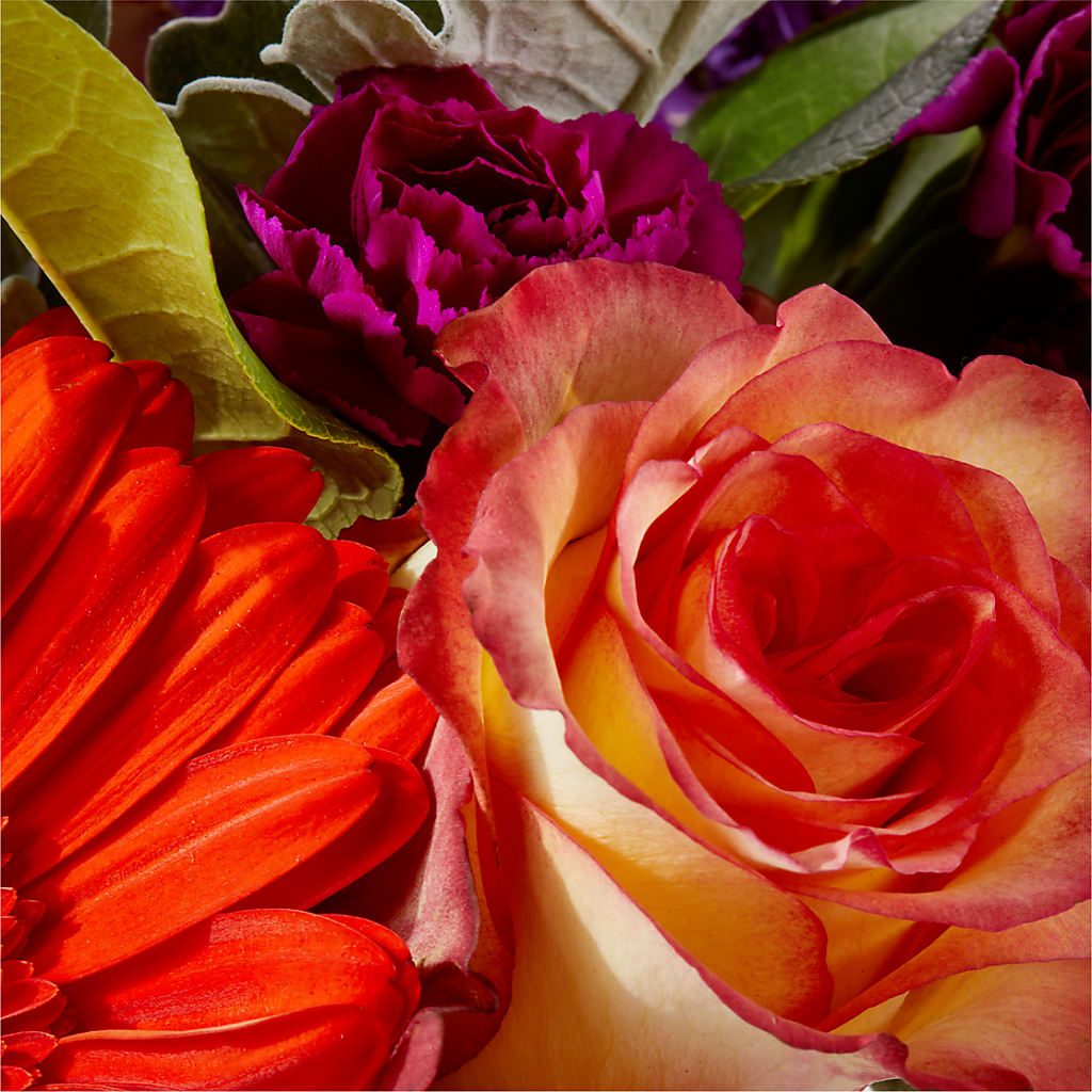 Sangria Bouquet –  Mountain Florist, Clintwood VA