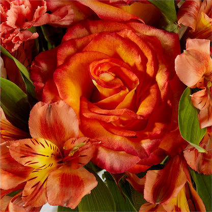 Apricot Glow Bouquet –  Mountain Florist, Clintwood VA