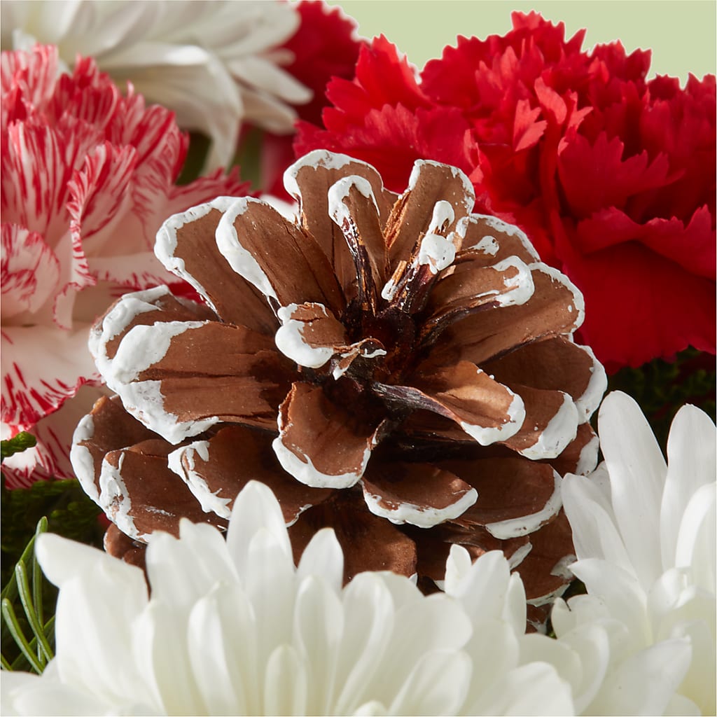 Candy Cane Lane Bouquet –  Mountain Florist, Clintwood VA