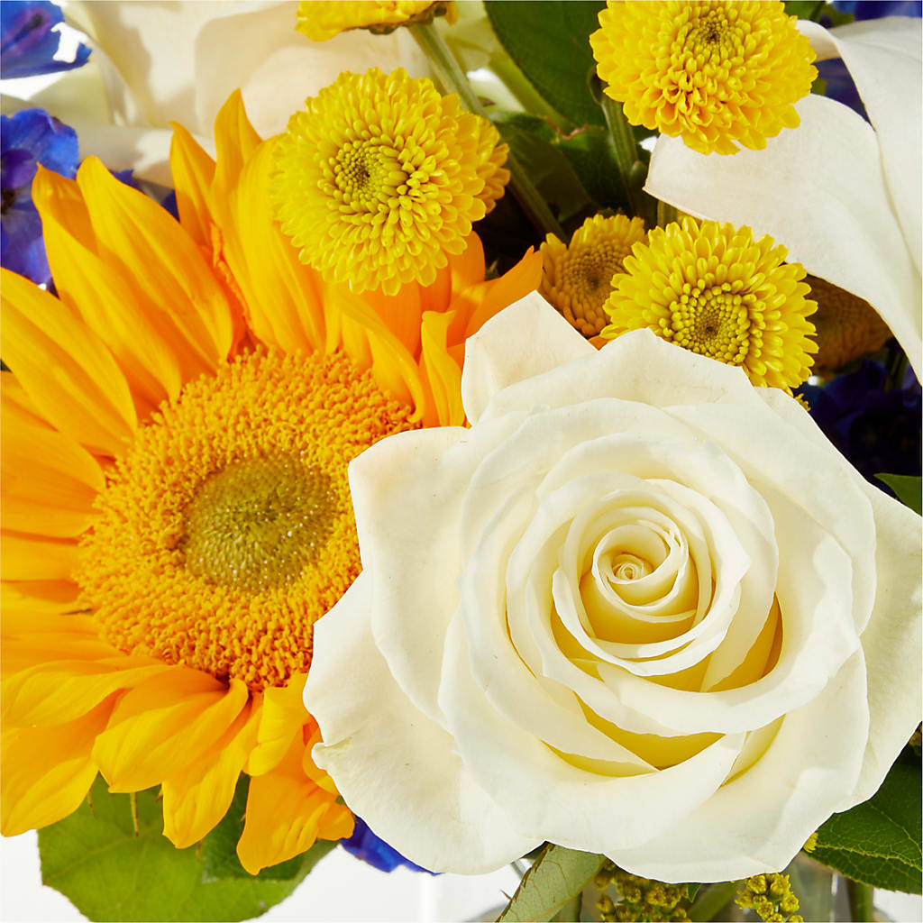 Stargazing Bouquet –  Mountain Florist, Clintwood VA