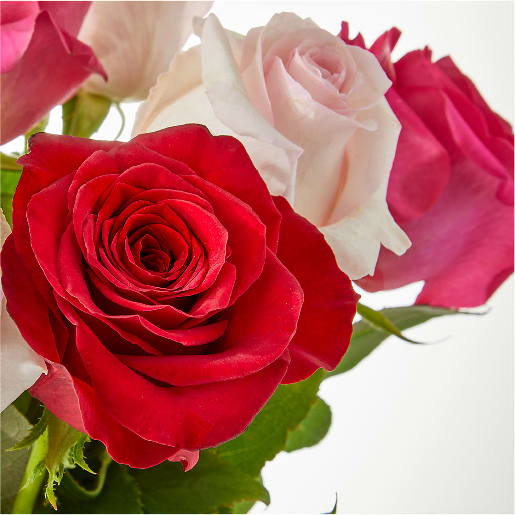 Charming Rose Bouquet –  Mountain Florist, Clintwood VA