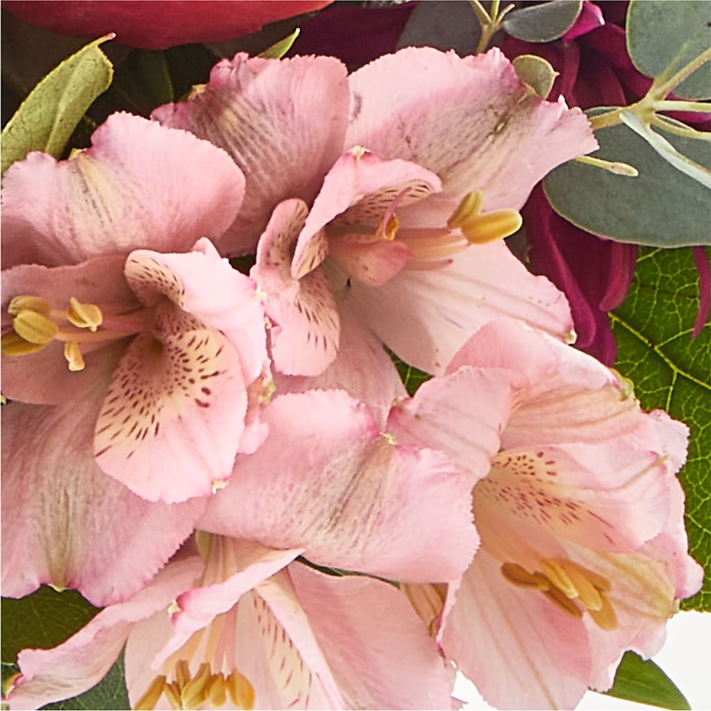 Berry Cobbler Bouquet –  Mountain Florist, Clintwood VA