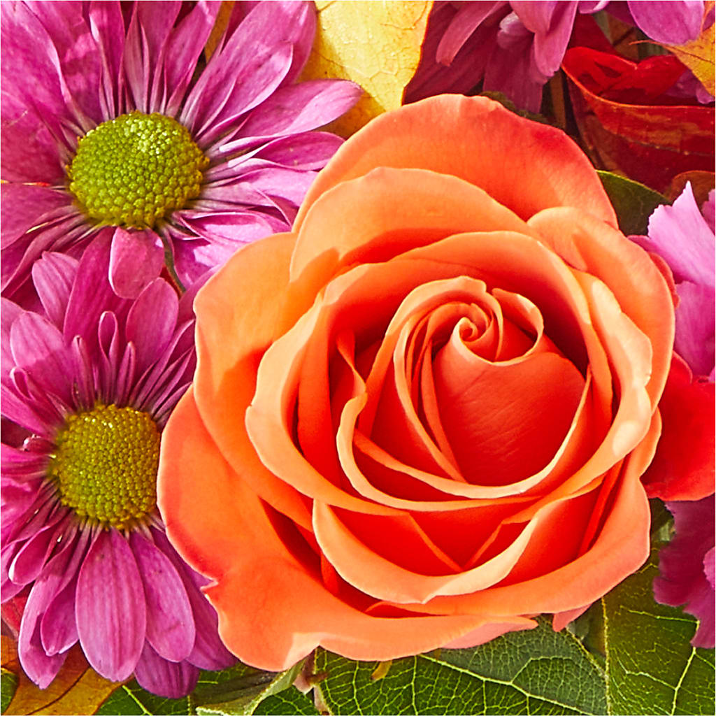 Mum's the Word Bouquet –  Mountain Florist, Clintwood VA