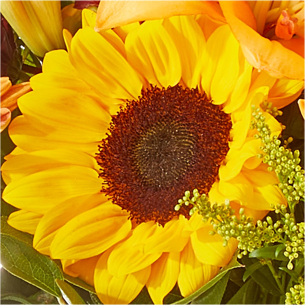 Seasons Change Bouquet –  Mountain Florist, Clintwood VA