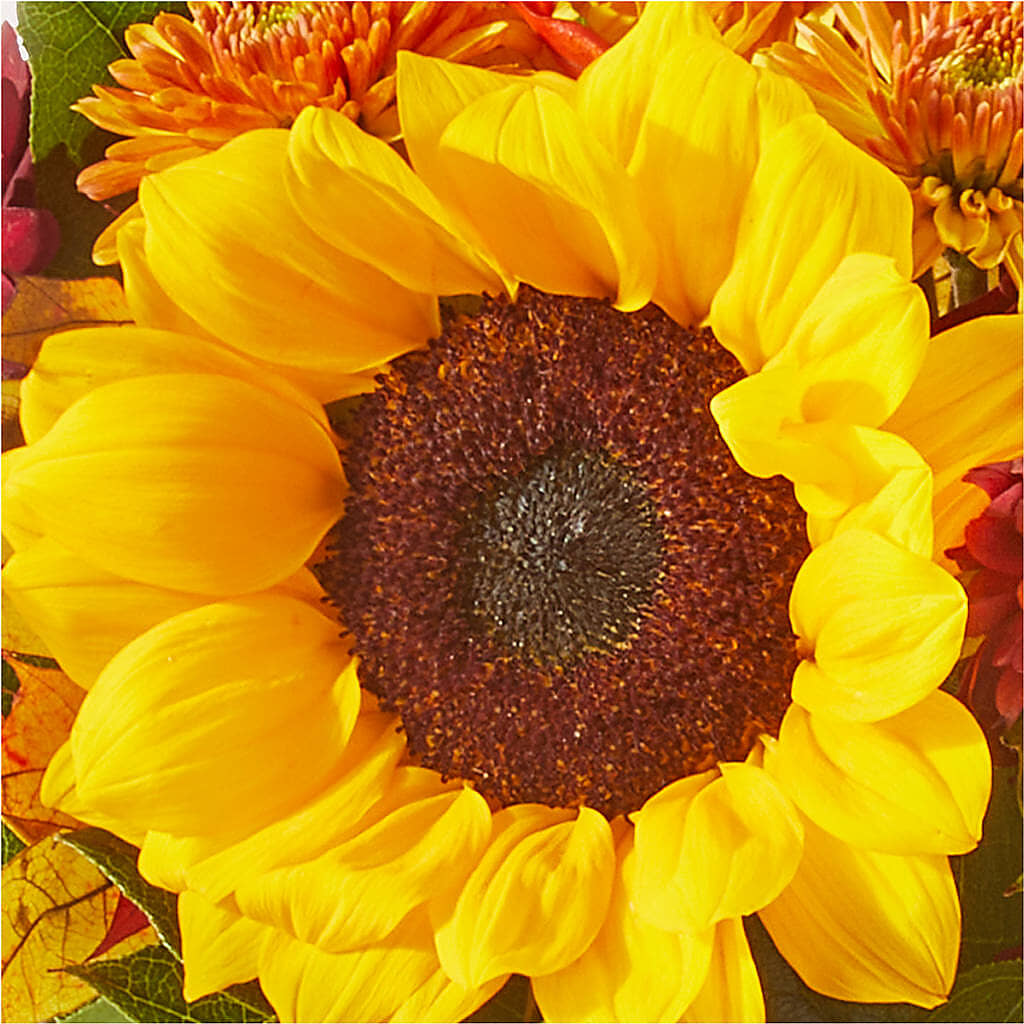 Sunny Side Bouquet –  Mountain Florist, Clintwood VA