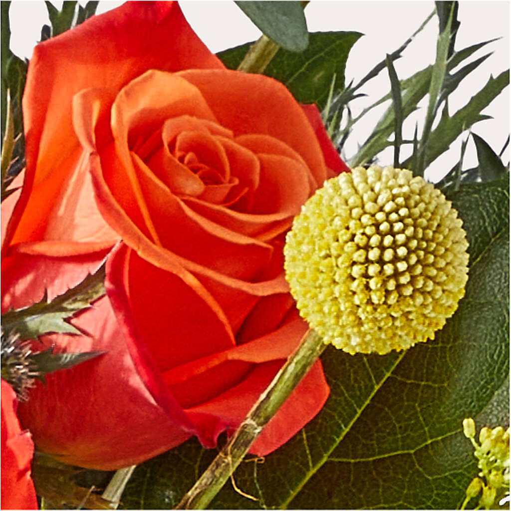 Disco Bouquet –  Mountain Florist, Clintwood VA