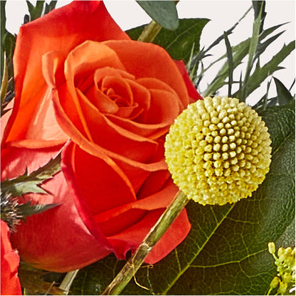 Disco Bouquet –  Mountain Florist, Clintwood VA