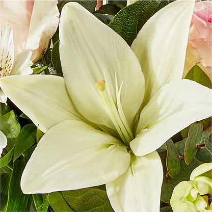 Ballet Slippers Bouquet –  Mountain Florist, Clintwood VA