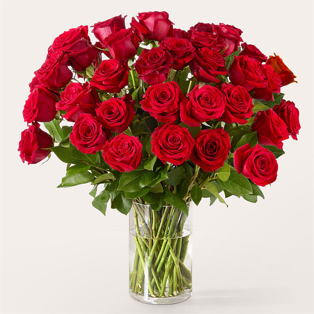 The One Red Rose Bouquet –  Mountain Florist, Clintwood VA