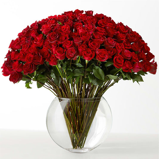 The Idealist –  Mountain Florist, Clintwood VA