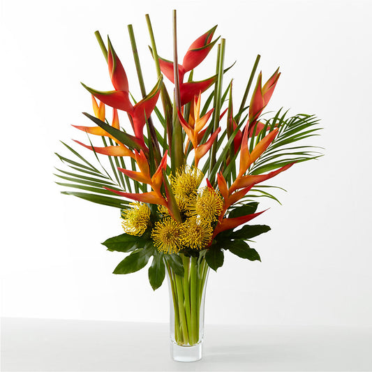 The Drama –  Mountain Florist, Clintwood VA