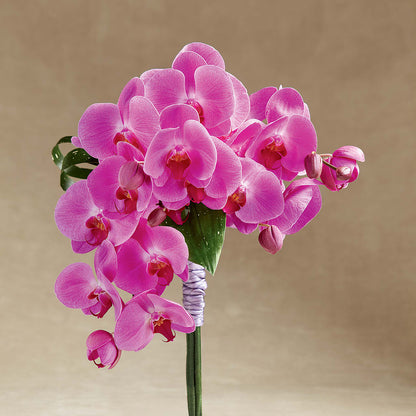 Glorious Bouquet –  Mountain Florist, Clintwood VA
