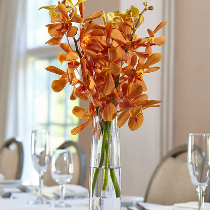 Orange Mokara Bud Vase –  Mountain Florist, Clintwood VA