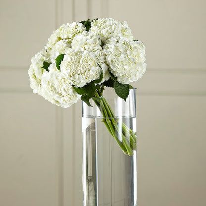 White Hydrangea Hand-Tied Bouquet –  Mountain Florist, Clintwood VA