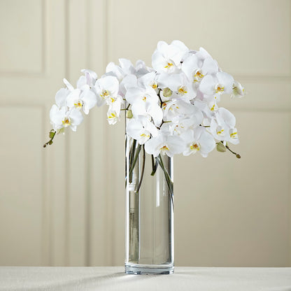 White Phalaenopsis Bouquet –  Mountain Florist, Clintwood VA