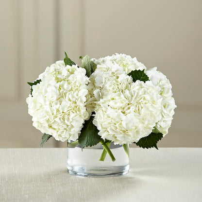 White Hydrangea Bouquet –  Mountain Florist, Clintwood VA