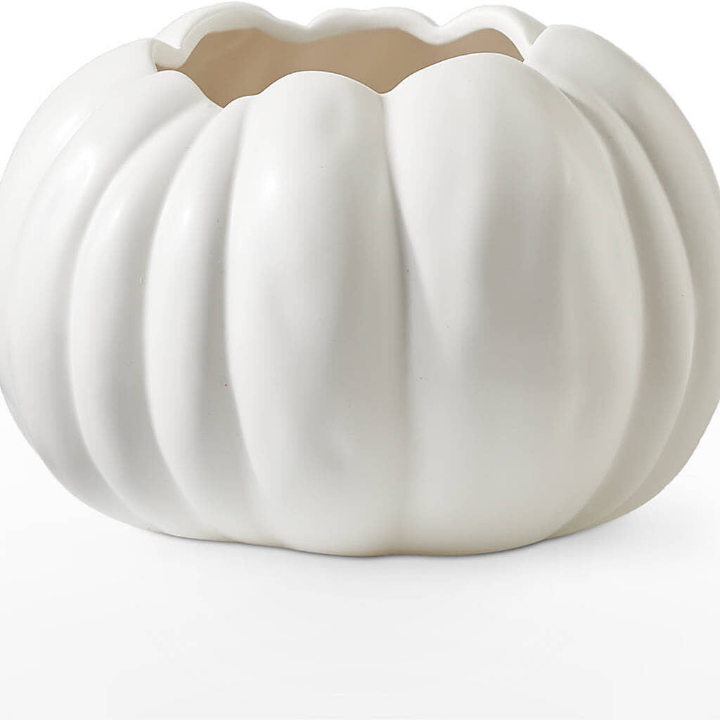 Autumn Air Pumpkin Bouquet –  Mountain Florist, Clintwood VA